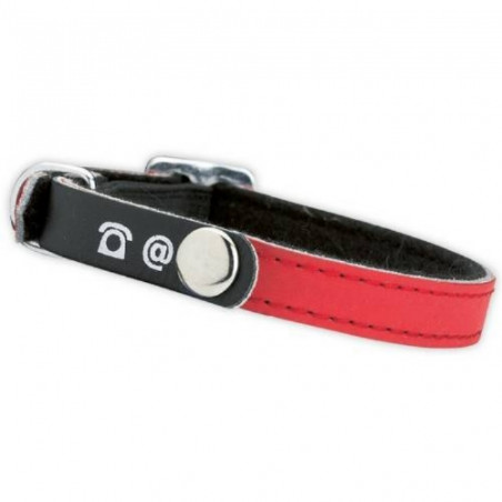 Doogy, Collier chat porte adresse rouge