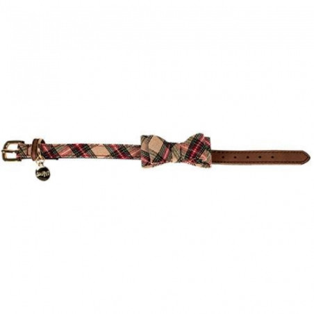 Chadog, Collier Scottish beige
