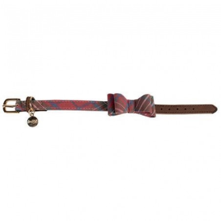 Doogy, roter schottischer Kragen