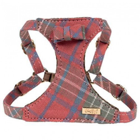 Doogy, Red Scottish Harness