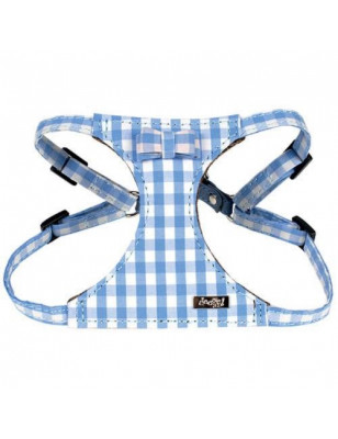 Doogy, Light blue gingham harness