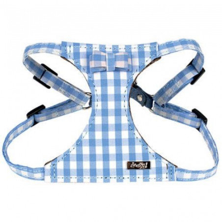 Doogy, Harnais Vichy bleu clair