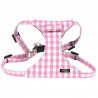 Doogy, Pink gingham harness