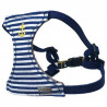 Doogy, Blue Sailor Harness