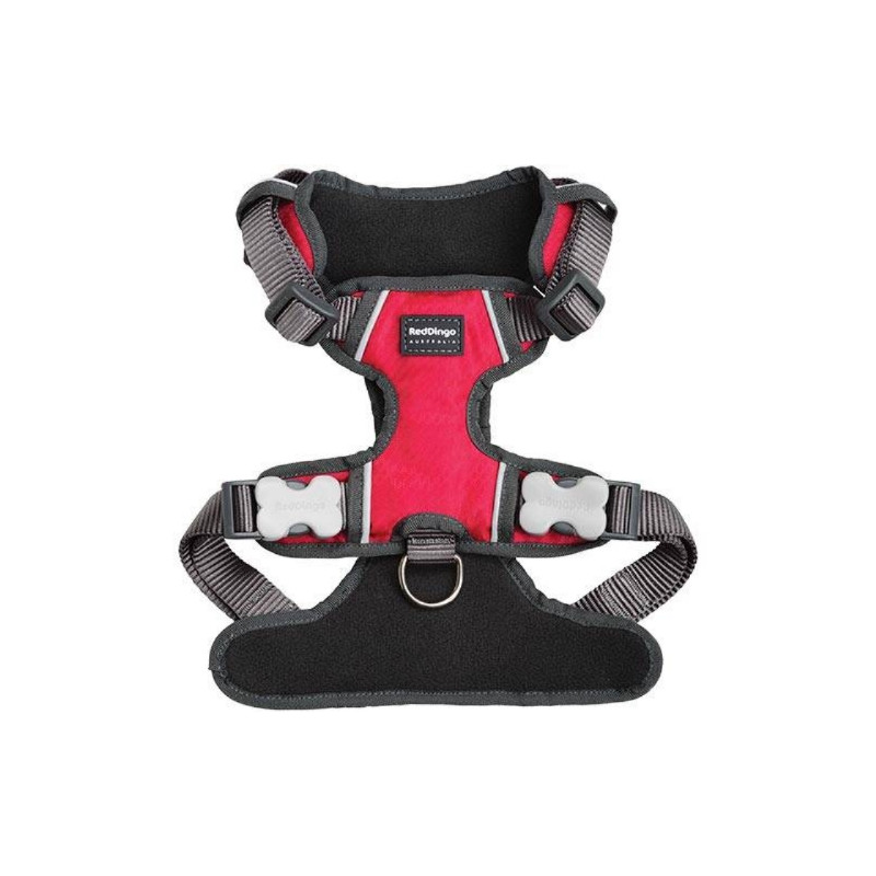 Red Dingo, Roter Dingo gepolsterter Harness Red Red Dingo, Roter Dingo gepolsterter Harness Red