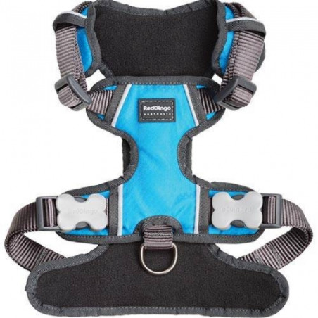 Red Dingo, Turquoise Padded Harnesses