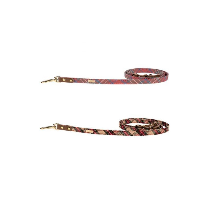 Doogy, Scottish Leash Doogy, Scottish Leash