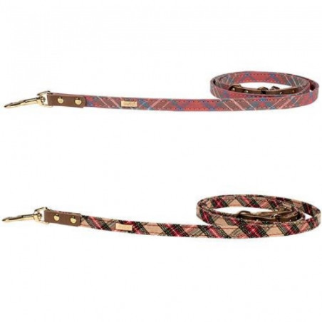Doogy, Scottish Leash