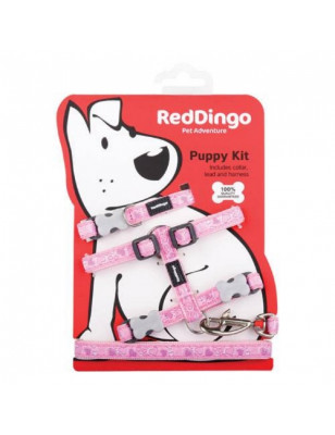 Red Dingo, Collar, arnés y correa para cachorro Fancy Red Dingo