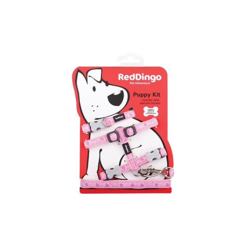 Red Dingo, Collier, harnais et laisse chiot Red Dingo fantaisie Red Dingo, Collier, harnais et laisse chiot Red Dingo fantaisie