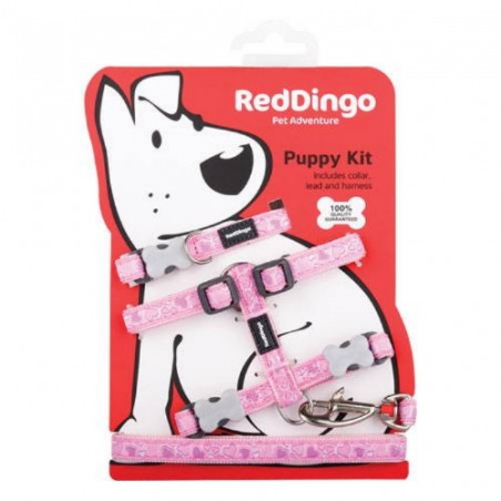 Red Dingo, Fancy Puppy Halsband, Geschirr und Leine