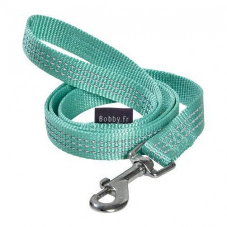 Bobby, Safe Lagoon Leash