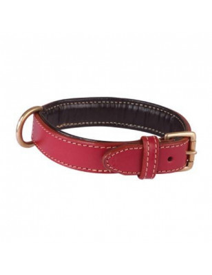 Chadog, Red comfort collar