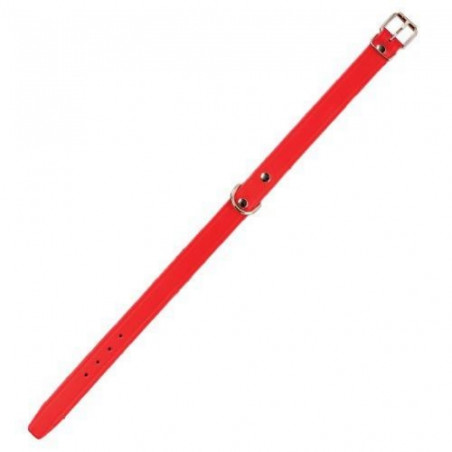 Chadog, rotes Amazonas-Lederhalsband