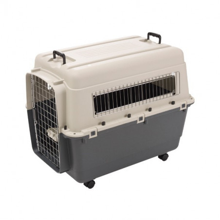 Andes transport cage