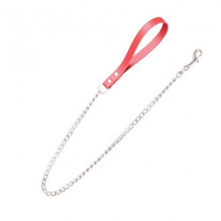 Chadog, Leather Leash and Red Amazon Chain