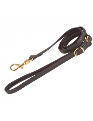 Bobby, Black golden curling leash