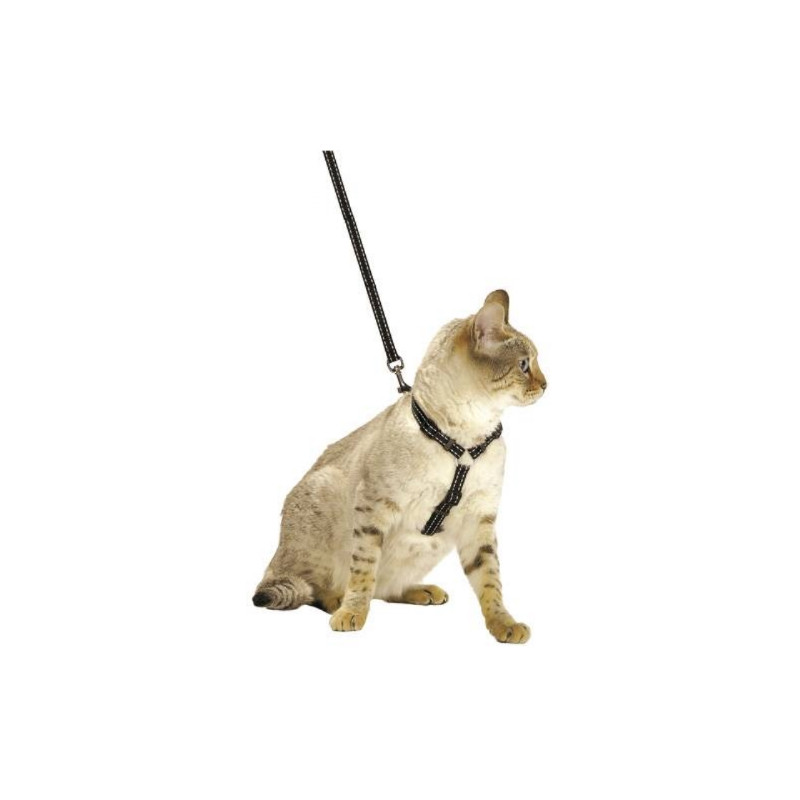 Chadog, Kabelbaum- und Leinen-Kit Sicheres Schwarz Chadog, Kabelbaum- und Leinen-Kit Sicheres Schwarz