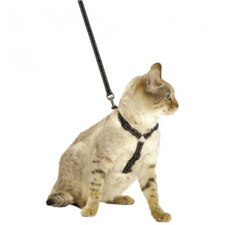 Chadog, Kit Geschirr und Leine Safe schwarz
