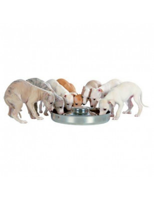 Stainless steel bowl for puppies