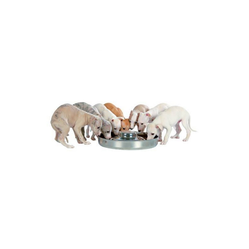 Divers, Cuenco de acero inoxidable para cachorros Divers, Cuenco de acero inoxidable para cachorros