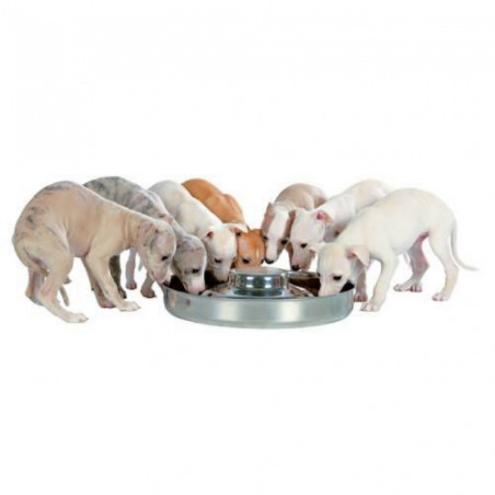 Gamelle en Inox pour chiots