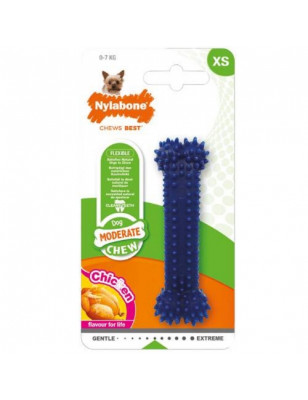 Divers,  Nylabone Dental chew