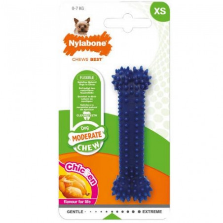 Divers,  Nylabone dentale da masticare