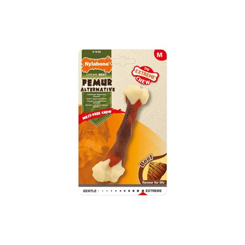 Divers, Nylabone Extreme Chew Femur Divers, Nylabone Extreme Chew Femur