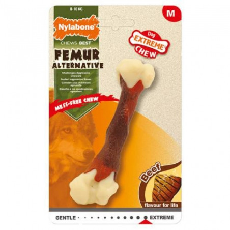 Divers, Nylabone Extreme Chew Femur