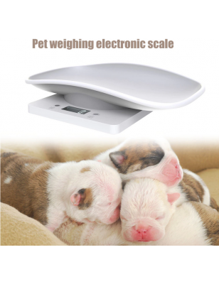 Electronic scale for...