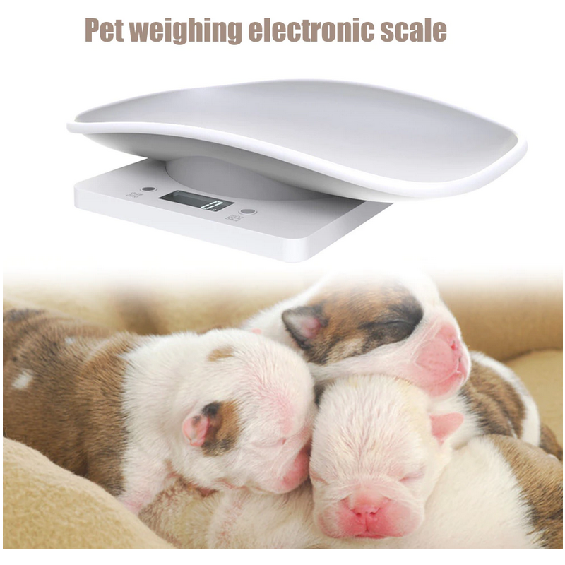 Balance electronique pour animaux nouveaux-nés Balance electronique pour animaux nouveaux-nés