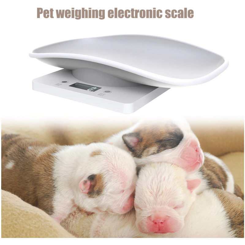 Electronic scale for newborn animals