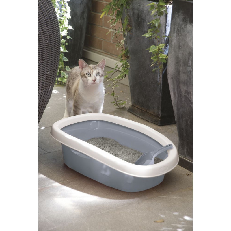 Sprinten Sie die Katzentoilette