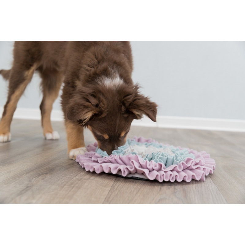 Junior Sniffing Mat