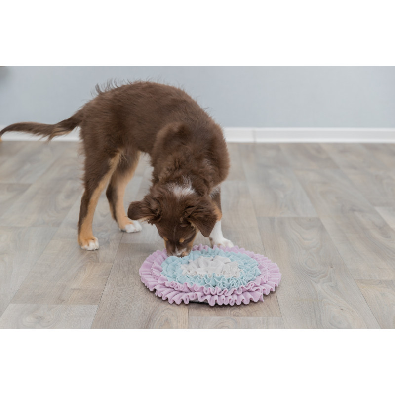 Junior Sniffing Mat