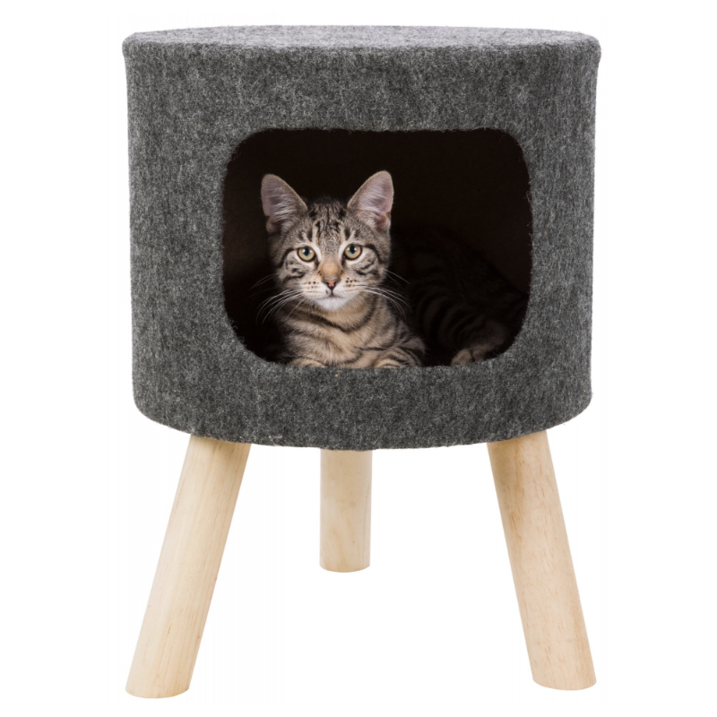 Senta Shelter