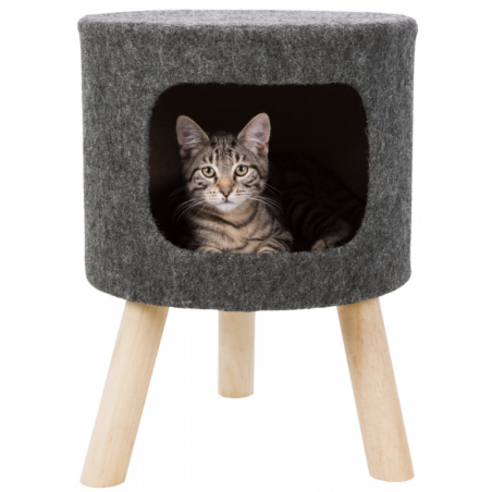 Senta Shelter