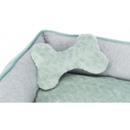 Junior bed bone