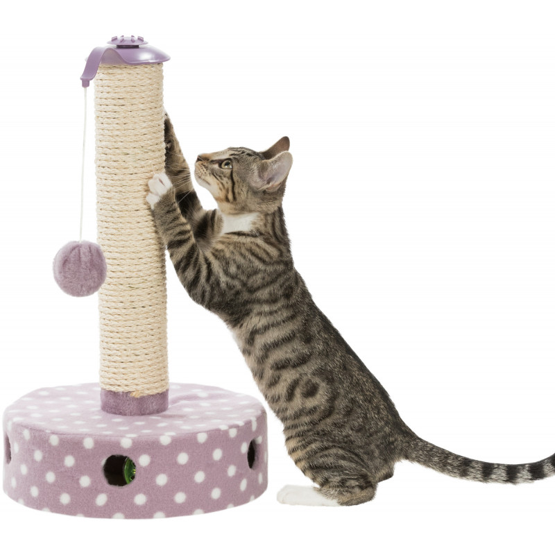 Junior Scratching post