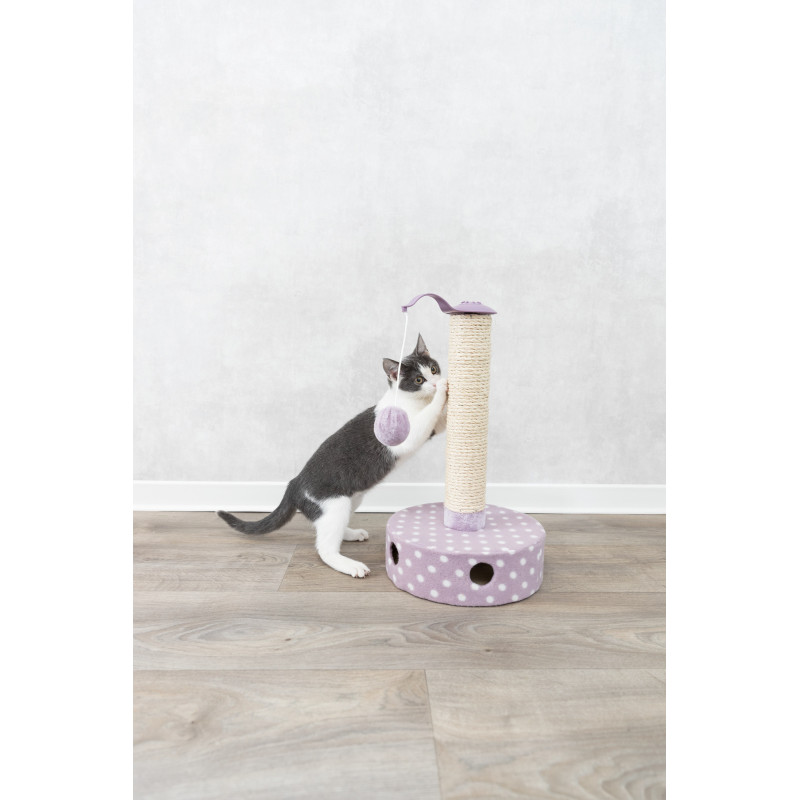 Junior Scratching post