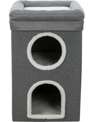 Saulo della Torre dei Gatti