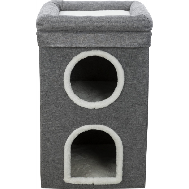Saulo della Torre dei Gatti