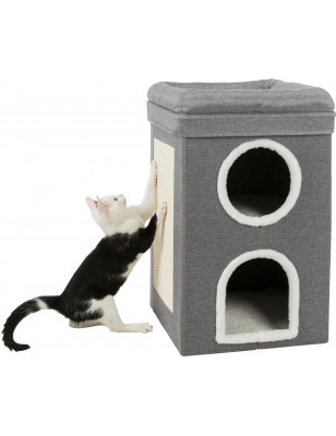 Cat Tower Saul