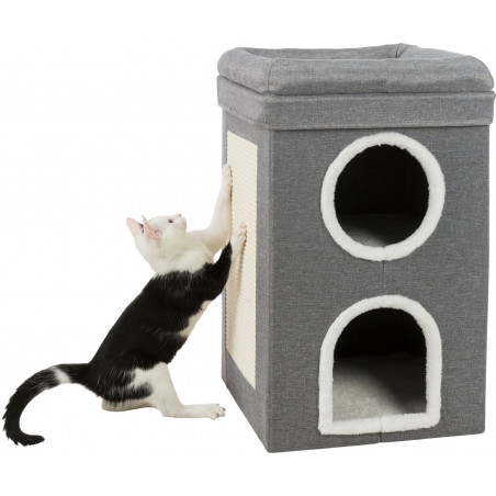 Saulo della Torre dei Gatti