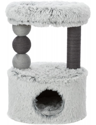 árbol del gato harvey