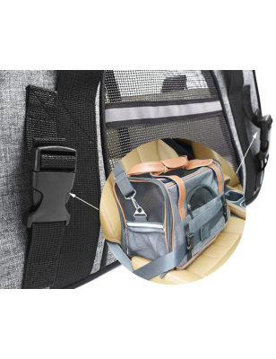 Airplane-approved transport bag