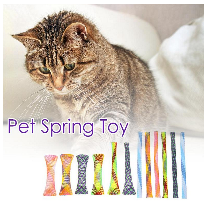 Le rouleau de printemps pour chat