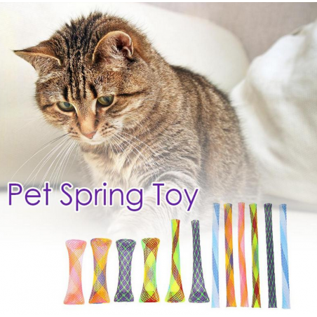 Le rouleau de printemps pour chat