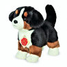 Bernese Mountain Dog plush Hermann Teddy collection